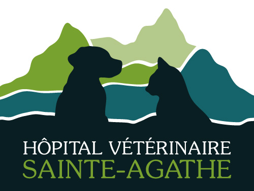 Hôpital vétérinaire Sainte-Agathe, Laurentides